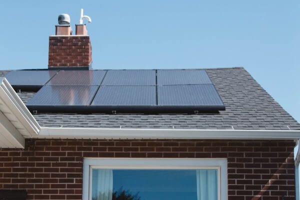 PEST CONTROL SHEFFORD, Bedfordshire. Services: Solar Panel Bird Proofing. Protect Your Solar Panels from Avian Intruders with Local Pest Control Ltd's Tailored Bird Proofing Services in Shefford